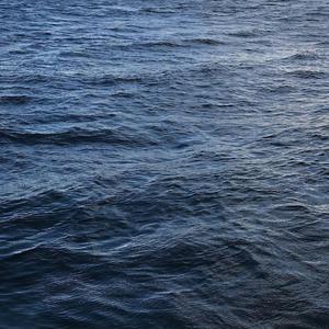 无码免费性爱视频
